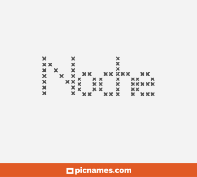 Noche