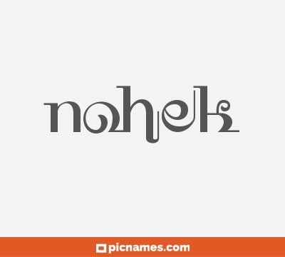 Nohek