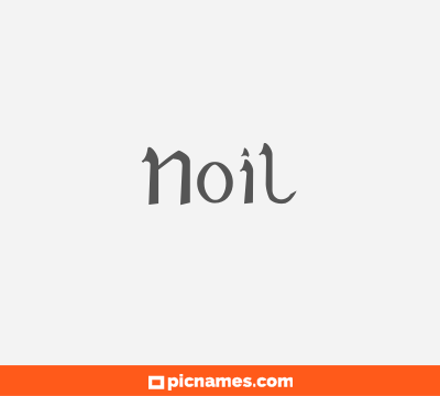 Noil