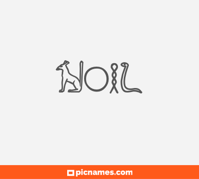 Noil