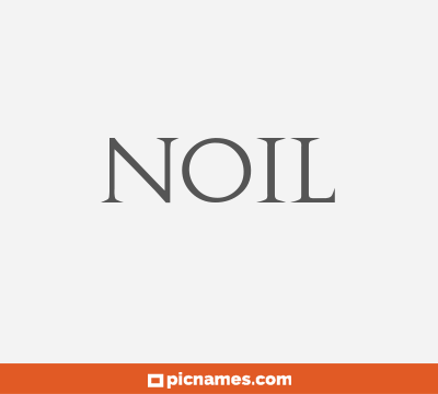 Noil