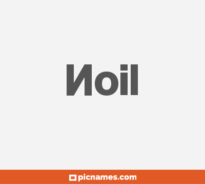 Noil