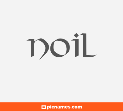 Noil