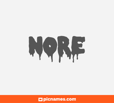 Nore