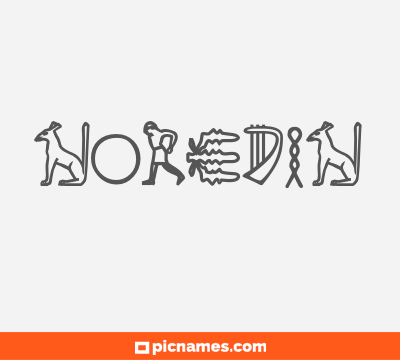 Noredin