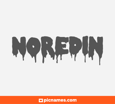 Noredin