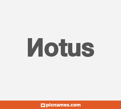 Notus