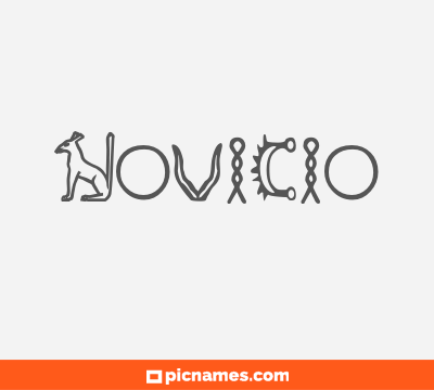 Novicio