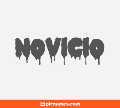 Novicio