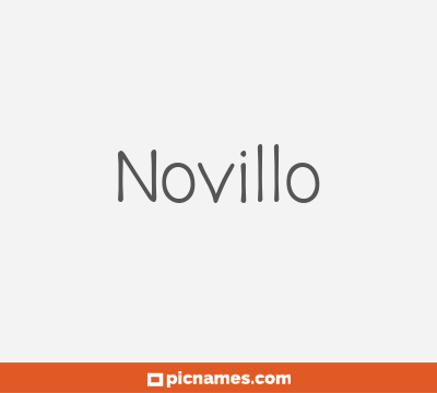 Novillo