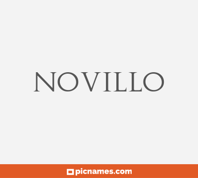 Novillo