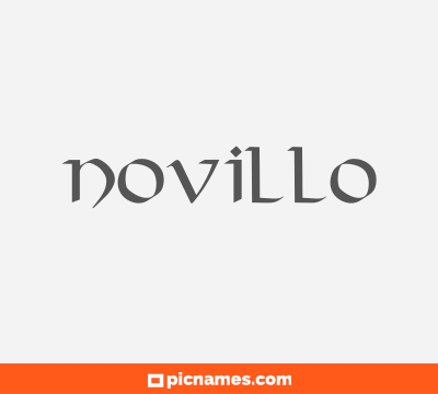 Novillo