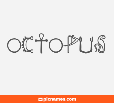 Octopus