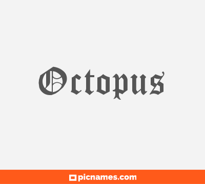 Octopus
