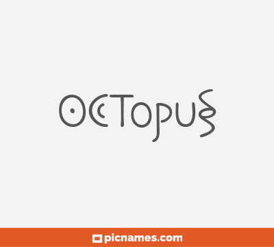 Octopus