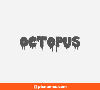 Octopus