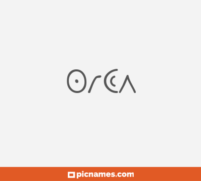 Orca