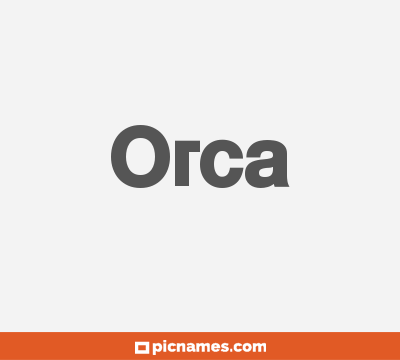 Orca
