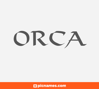 Orca