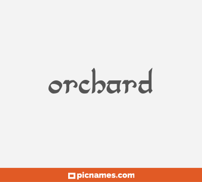 Orchard