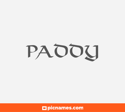 Paddy