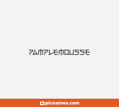 Pamplemousse