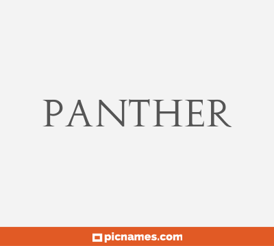 Panther