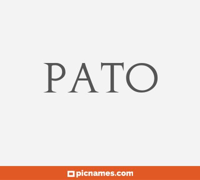 Pato