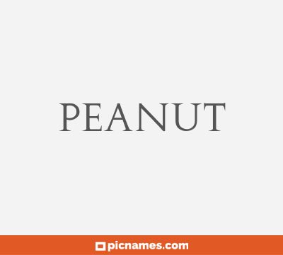 Peanut