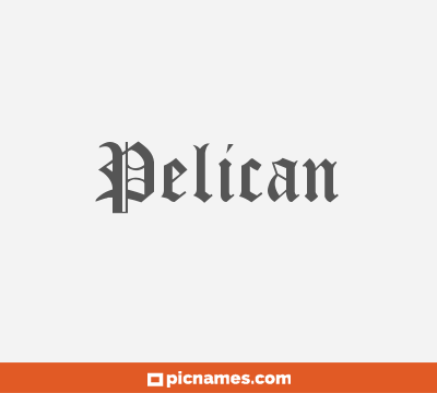 Pelican