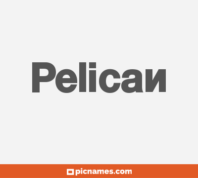 Pelican