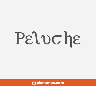 Peluche