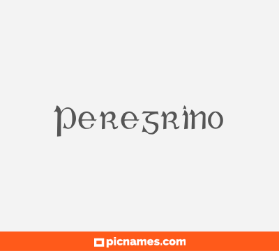 Peregrino