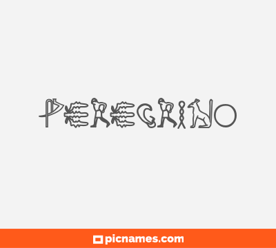 Peregrino