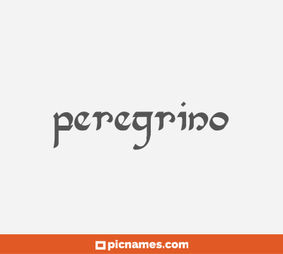 Peregrino