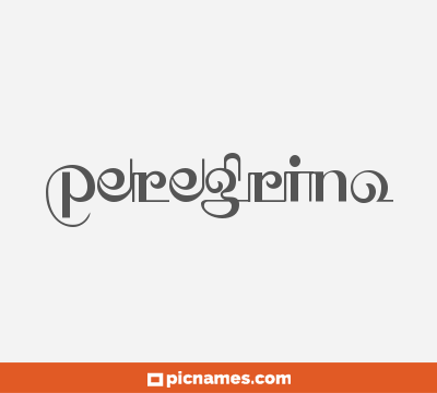 Peregrino