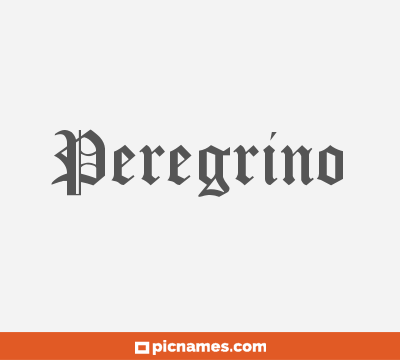 Peregrino