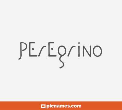 Peregrino