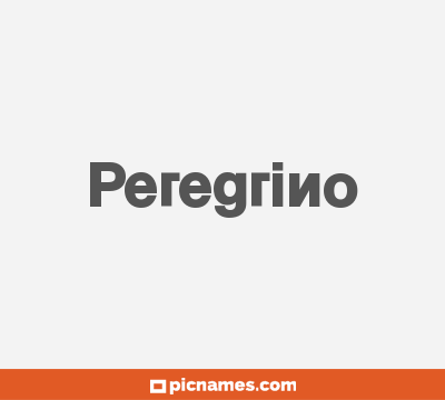 Peregrino