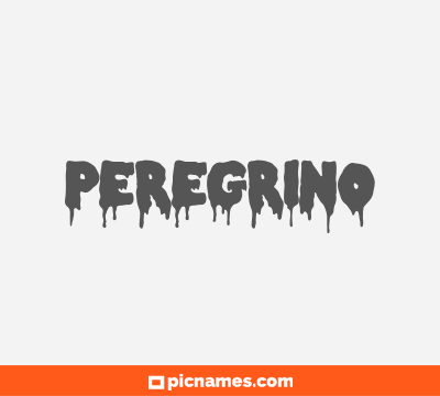 Peregrino