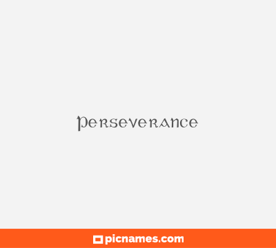 Perseverance