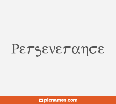 Perseverance