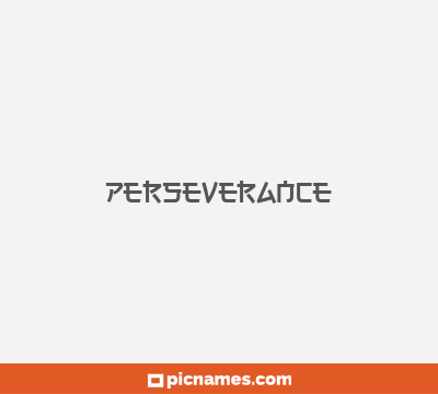 Perseverance