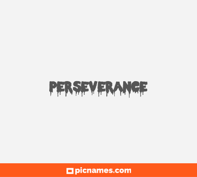 Perseverance