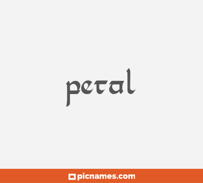 Petal