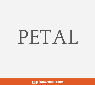 Petal