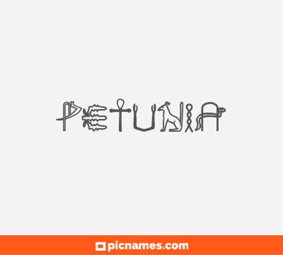 Petunia