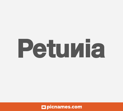 Petunia