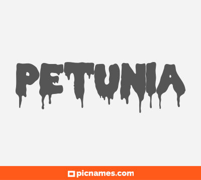 Petunia