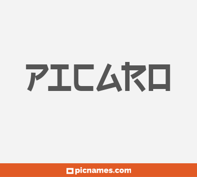 Picaro